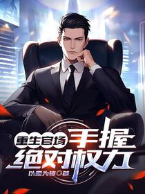 官场：一个小人物的野望