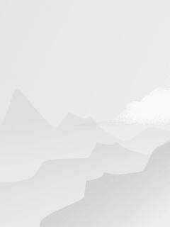 模拟千万次，你把师尊当怪刷？